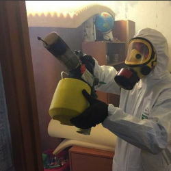 Уничтожение клопов в квартире. Балтийская